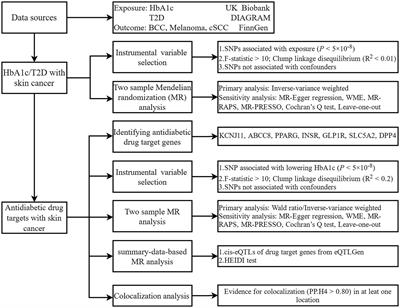 Genetic association of type 2 diabetes and antidiabetic drug target with skin cancer